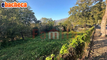 terreno agricolo in vendita a Sirignano