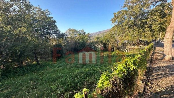 terreno agricolo in vendita a Sirignano