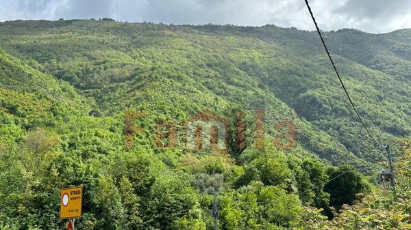 terreno agricolo in vendita a Sirignano
