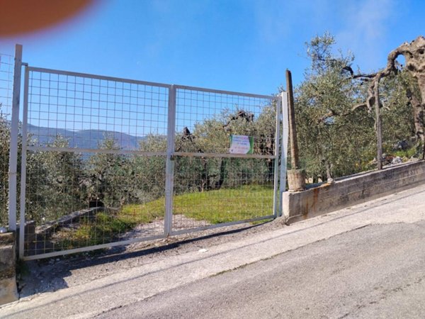 terreno agricolo in vendita a Sirignano