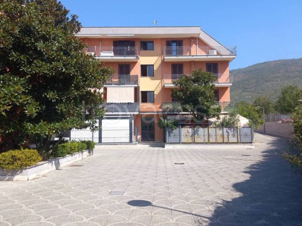 immagine annuncio 0 di 15