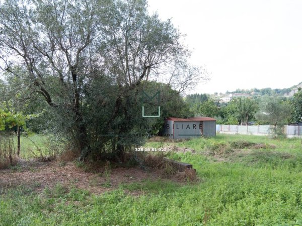 terreno agricolo in vendita a Sorbo Serpico