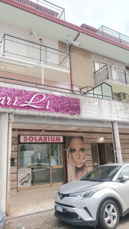 immagine annuncio 0 di 15