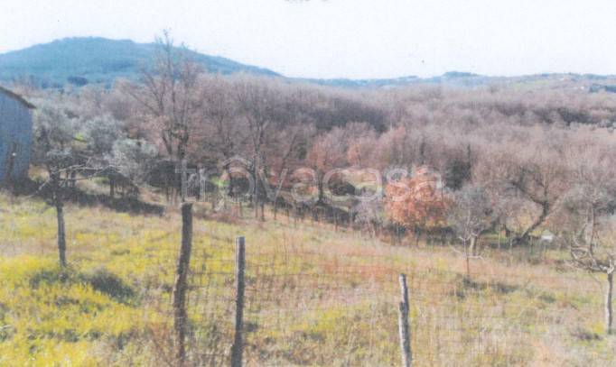 casa semindipendente in vendita a Sturno
