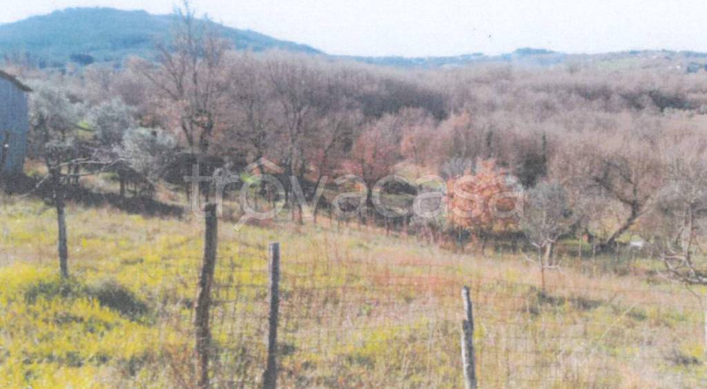 terreno agricolo in vendita a Sturno