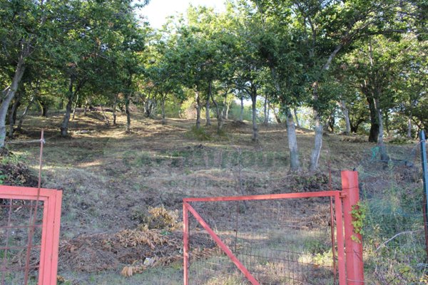casa indipendente in vendita a Summonte