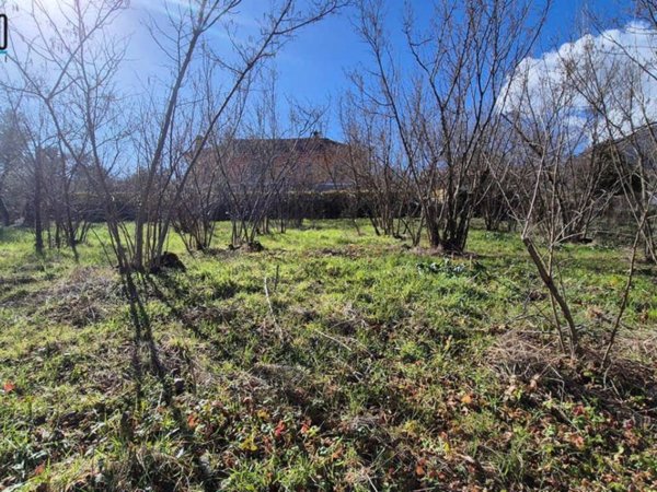 terreno agricolo in vendita a Summonte in zona Starze
