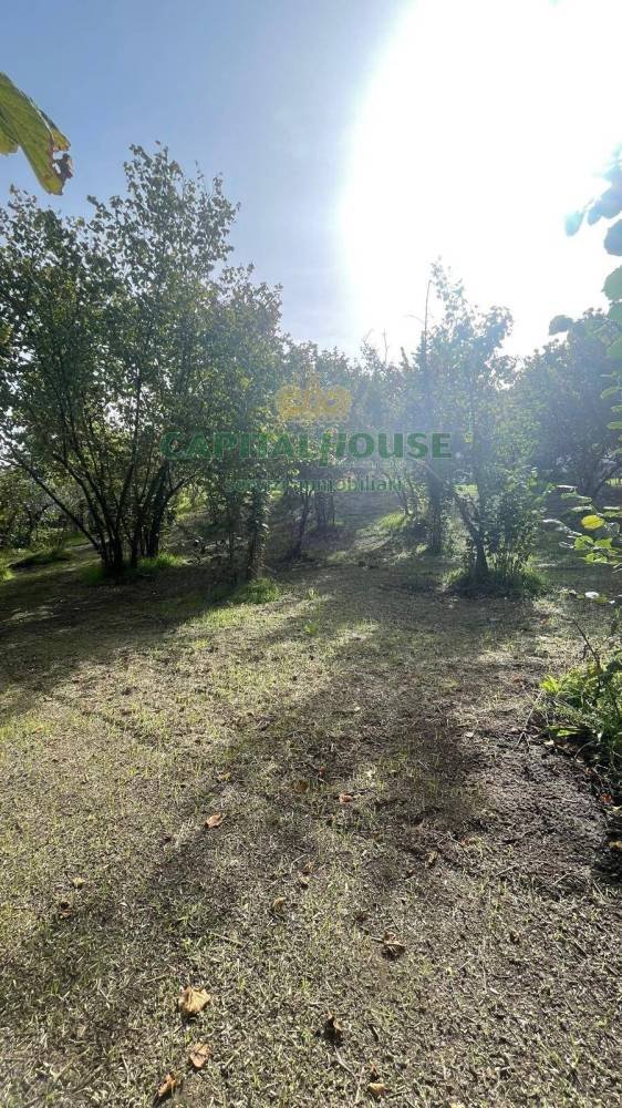terreno edificabile in vendita a Summonte in zona Starze