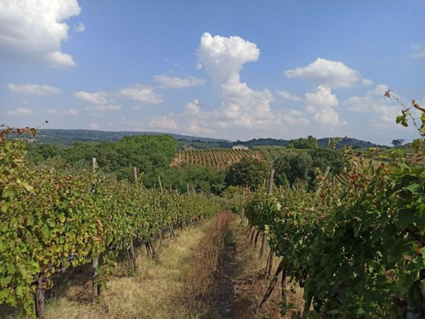 rudere in vendita a Taurasi