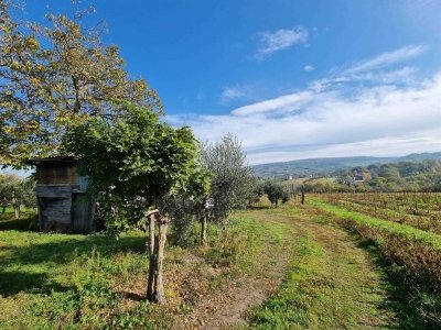 terreno agricolo in vendita a Taurasi