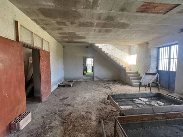 pentavano in vendita a Taurasi