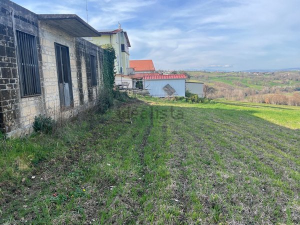 pentavano in vendita a Taurasi