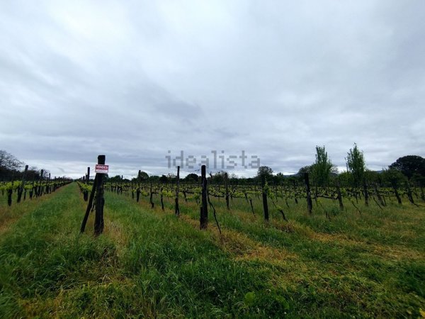 terreno agricolo in vendita a Taurasi