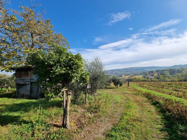 terreno agricolo in vendita a Taurasi
