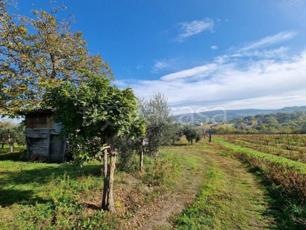 terreno agricolo in vendita a Taurasi