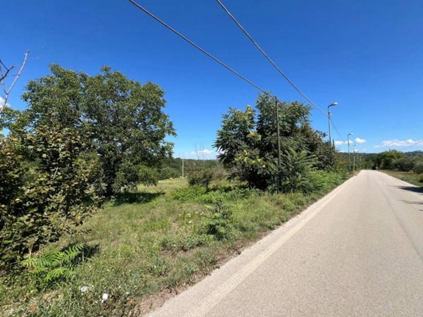 terreno agricolo in vendita a Taurasi