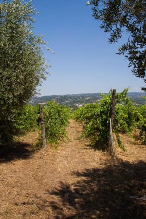 casa indipendente in vendita a Taurasi