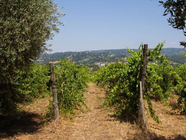 casa indipendente in vendita a Taurasi
