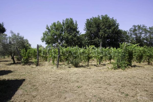 terreno in vendita a Taurasi