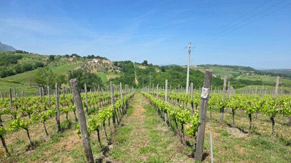 terreno agricolo in vendita a Torella dei Lombardi