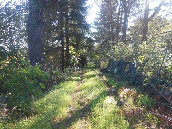 casa indipendente in vendita a Torre Le Nocelle