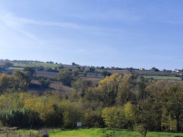 terreno agricolo in vendita a Torre Le Nocelle