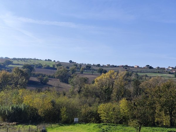 terreno agricolo in vendita a Torre Le Nocelle