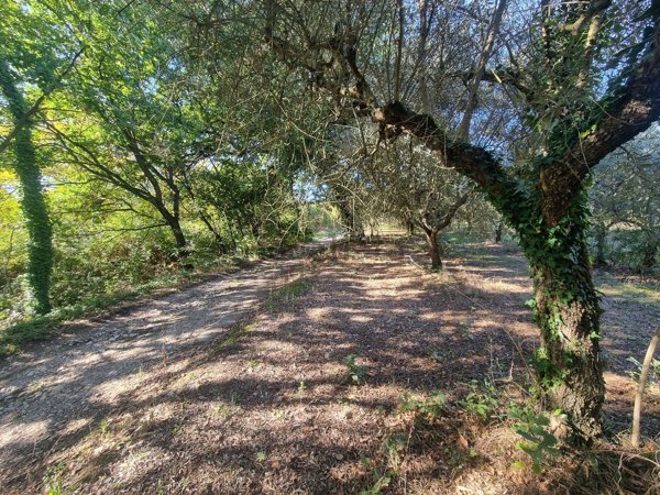 terreno edificabile in vendita a Torre Le Nocelle