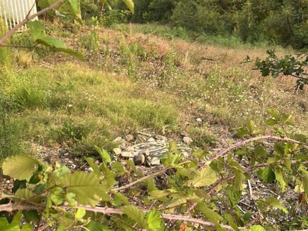 terreno agricolo in vendita a Tufo