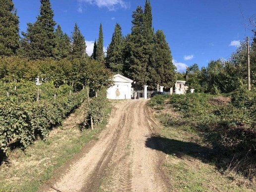 terreno agricolo in vendita a Tufo