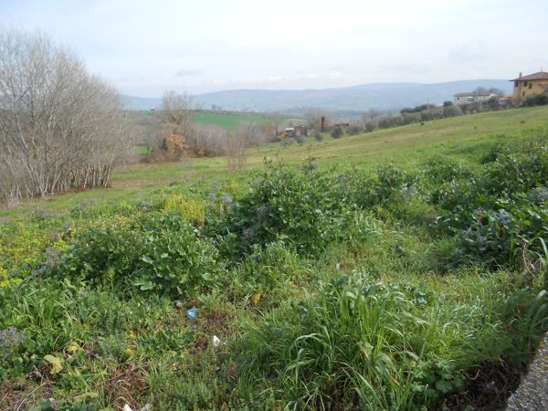 terreno in vendita a Venticano