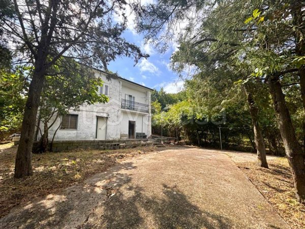 casa indipendente in vendita a Zungoli