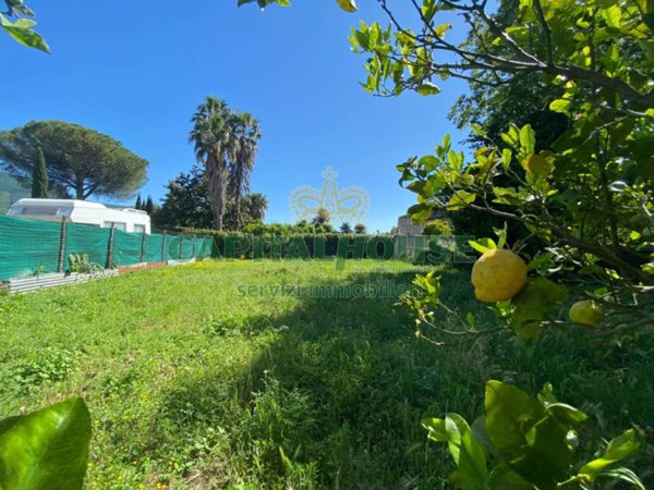appartamento in vendita a Montoro