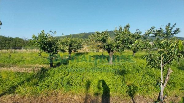 terreno agricolo in vendita a Montoro