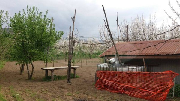 terreno agricolo in vendita a Montoro