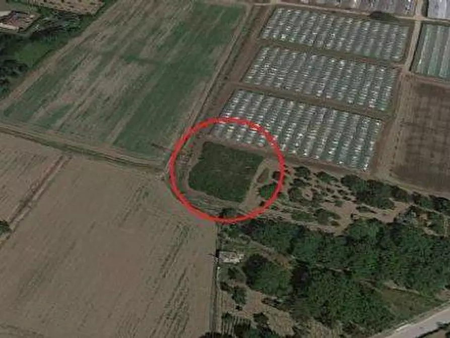 terreno agricolo in vendita a Montoro in zona Montoro Superiore