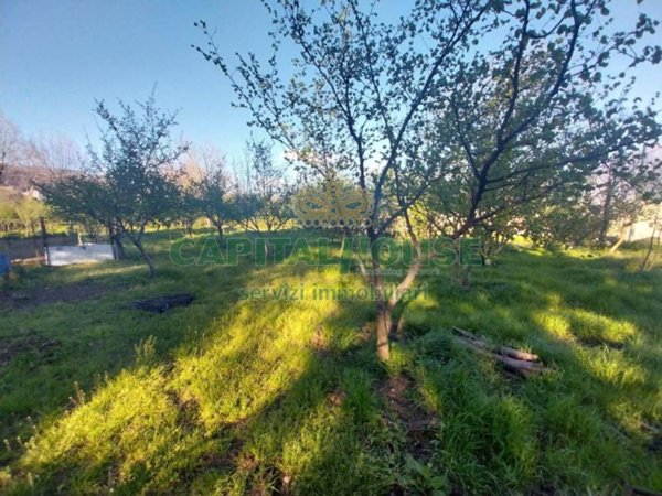 terreno agricolo in vendita a Montoro in zona Piano