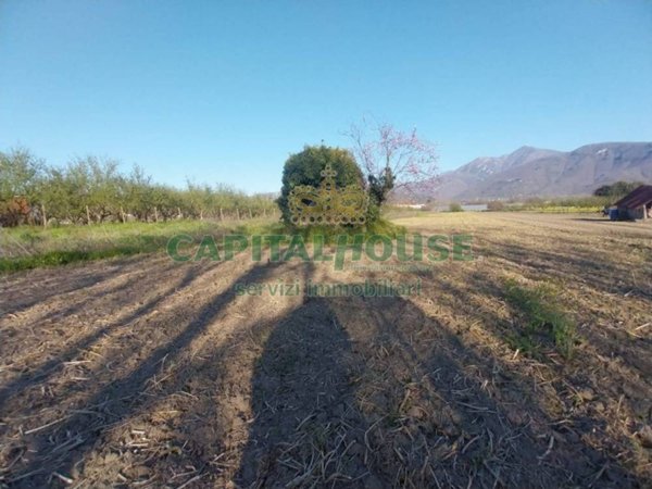 terreno agricolo in vendita a Montoro in zona Piano