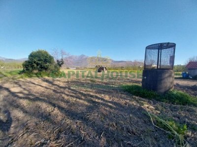 terreno agricolo in vendita a Montoro in zona Piano