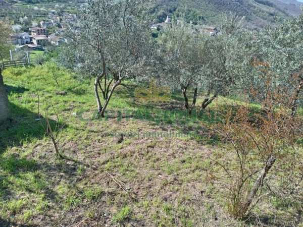casa indipendente in vendita a Montoro