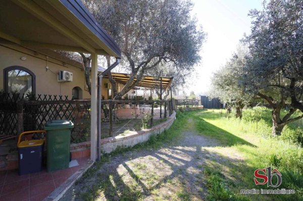 immagine annuncio 0 di 15