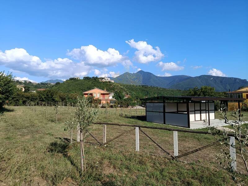 terreno agricolo in vendita a Montoro