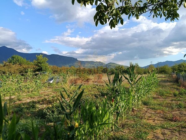 terreno agricolo in vendita a Montoro