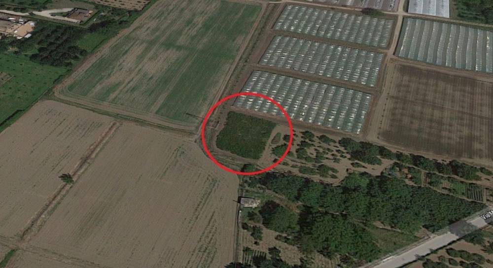 terreno agricolo in vendita a Montoro in zona Figlioli