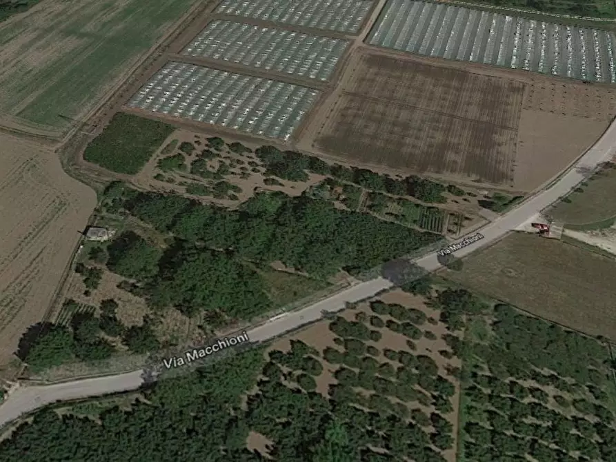 terreno agricolo in vendita a Montoro in zona Figlioli