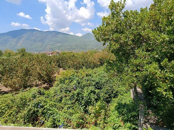 terreno agricolo in vendita a Montoro