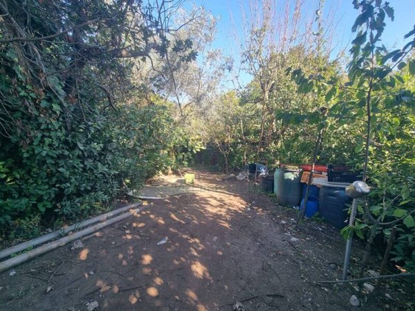 terreno agricolo in vendita a Montoro