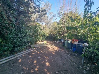 terreno agricolo in vendita a Montoro