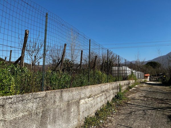terreno agricolo in vendita a Montoro