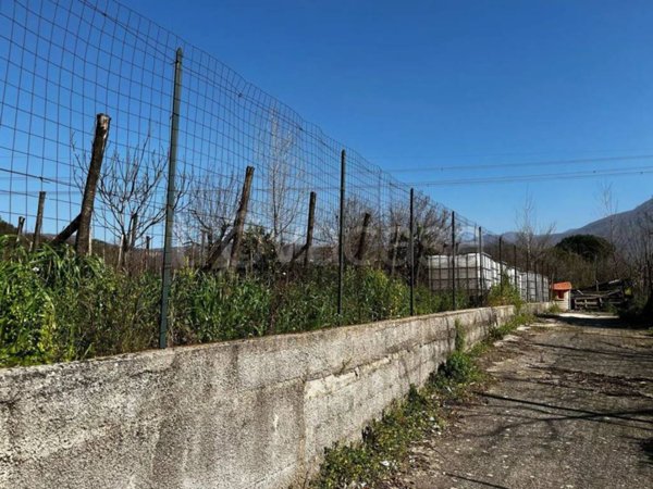 terreno agricolo in vendita a Montoro